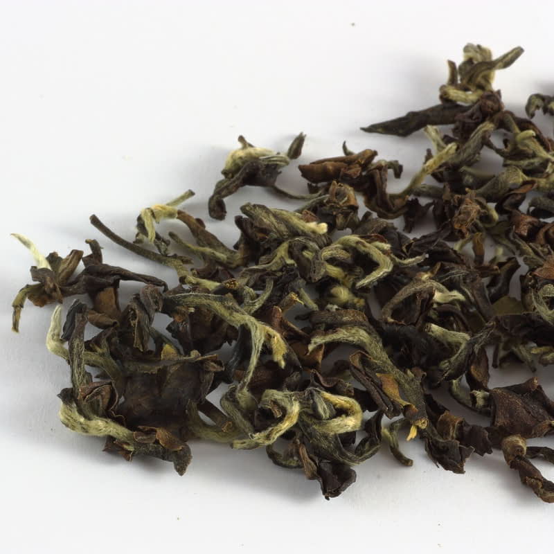 Classical Oriental Beauty - Tea Repertoire