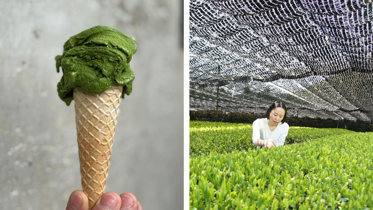 A Cool Collaboration – Tea Repertoire x Labo Gelateria - Tea Repertoire