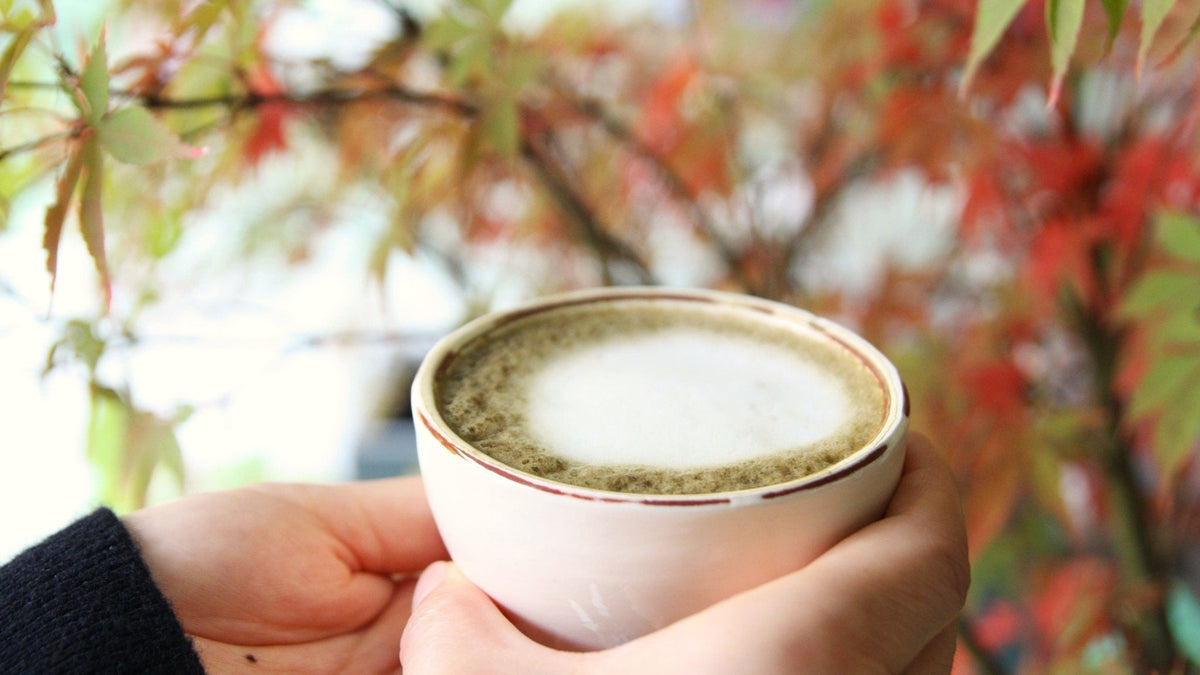 How to Make the Perfect Hojicha Latte – A Barista’s Guide from Tea Repertoire - Tea Repertoire