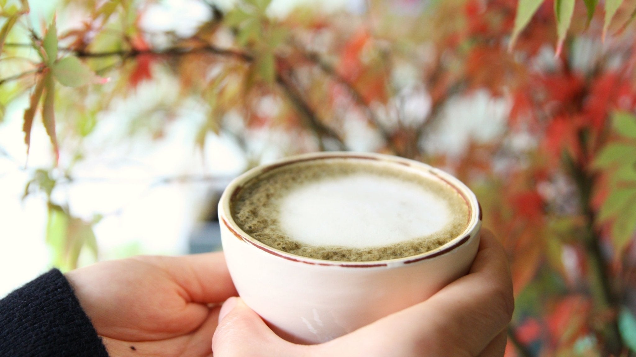 How to Make the Perfect Hojicha Latte – A Barista’s Guide from Tea Repertoire - Tea Repertoire