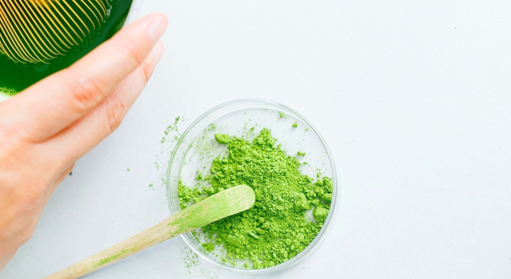 The ultimate guide to matcha - Tea Repertoire