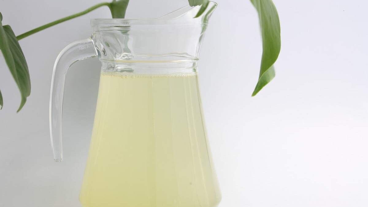 What is Gyokuro Tea? - Tea Repertoire