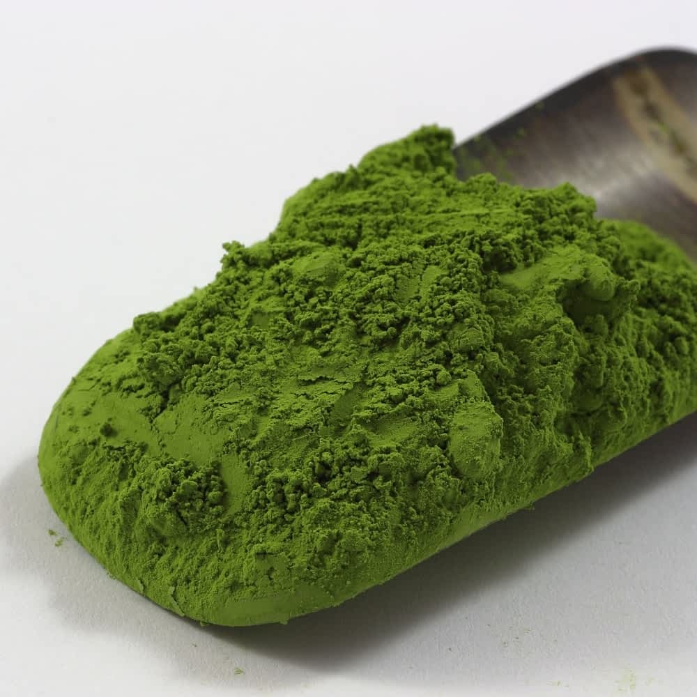 Poudre vert sauge de Matcha Evergreen BIO