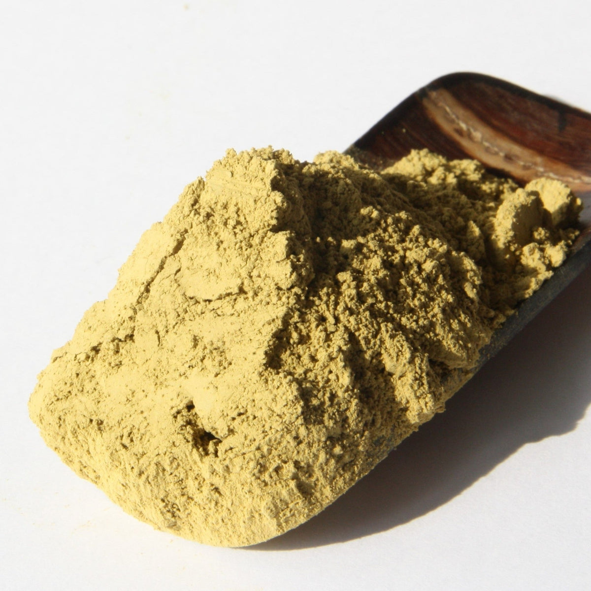 Organic Hojicha Powder | Japanese Matcha & Green Tea | Tea Repertoire