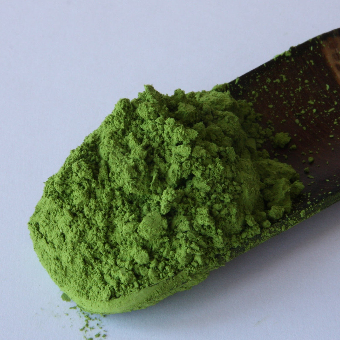 Matcha Aoyama (JAS ORGANIC) - Tea Repertoire