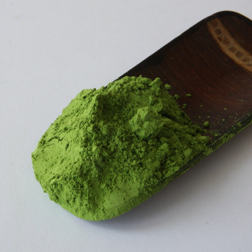 Matcha Yabukita Single Cultivar Japanese Green Tea Tea Repertoire
