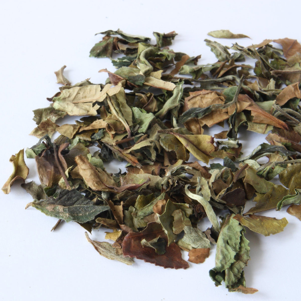 Shou Mei Longevity Eyebrow White Tea | Chinese Tea | Tea Repertoire