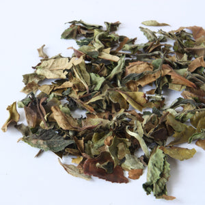 Shou Mei Longevity Eyebrow White Tea - Tea Repertoire